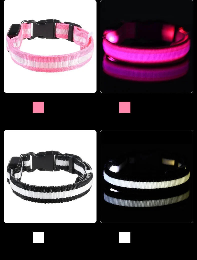 LED Dog Collar Glow In The Dark Night Safety Luminous Fall 2026 Trend Great Gift Idea