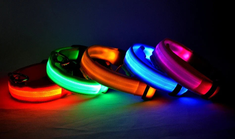 LED Dog Collar Glow In The Dark Night Safety Luminous Fall 2026 Trend Great Gift Idea