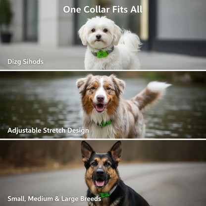 Organic Extract Pet Flea & Tick Repellent Collar Tag Dogs Cats All Seasons Safe Wearable