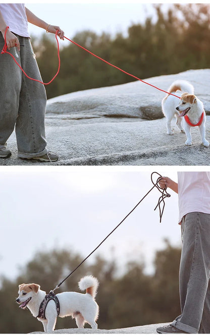Dog Harness Leash Kit Reflective Padded Vest All Seasons Outdoor Walking Gift Idea