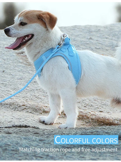 Dog Harness Leash Kit Reflective Padded Vest All Seasons Outdoor Walking Gift Idea