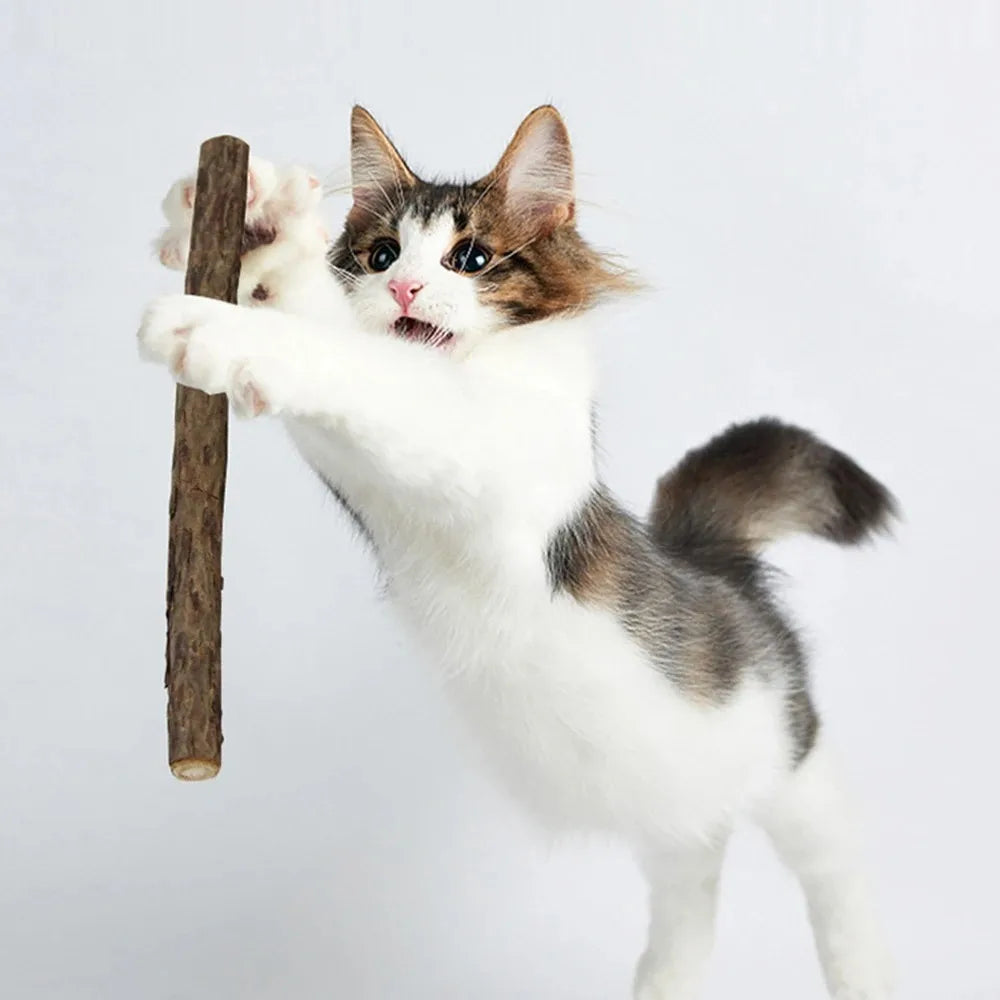 Organic Matatabi Cat Chew Sticks 15-Pack - Silvervine Catnip Dental Toy for Teeth Cleaning