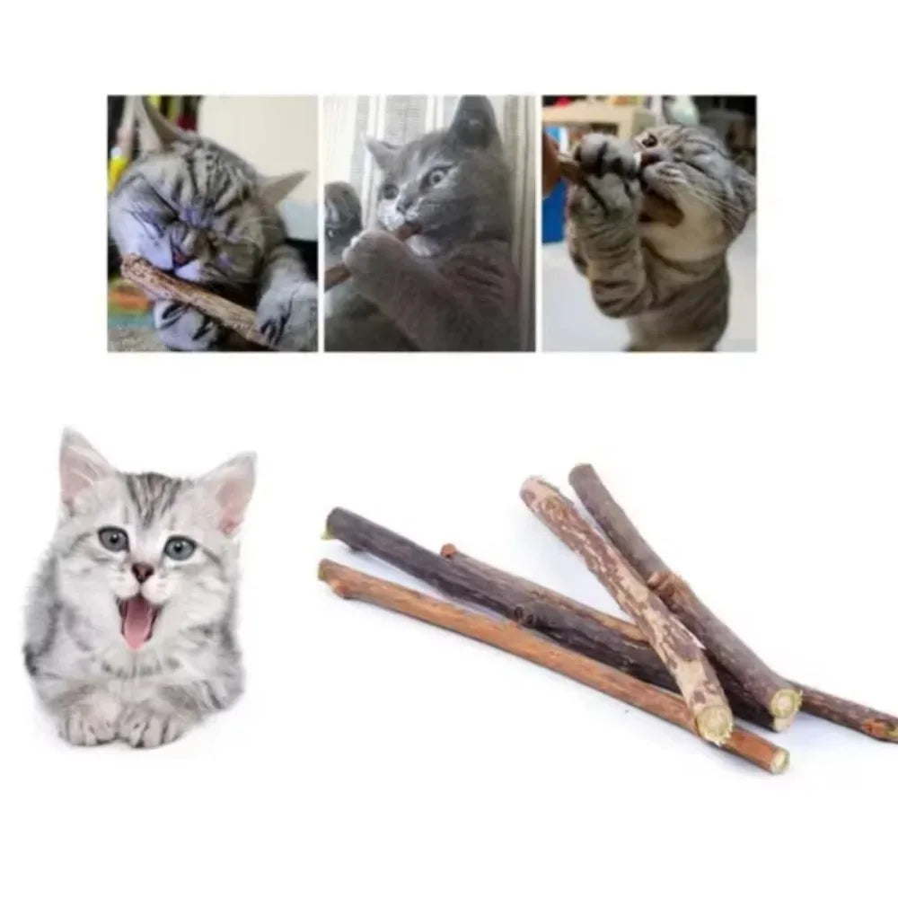 Organic Matatabi Cat Chew Sticks 15-Pack - Silvervine Catnip Dental Toy for Teeth Cleaning