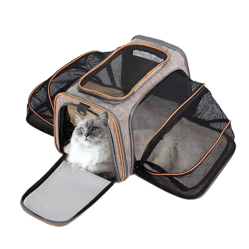 Pet Carrier Bag Up To 10kg Foldable Breathable Plush-Sided Travel Carrier Fall 2025 Safe Locking Zippers