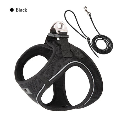 Dog Harness Leash Kit Reflective Padded Vest All Seasons Outdoor Walking Gift Idea