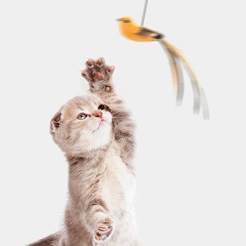 Bird Simulated Cat Toys - Upgraded Feather Teasing Stick, Long Rod with Steel Wire, Cat Safe Fun