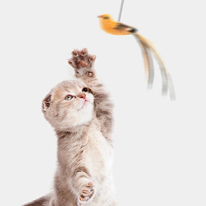 Bird Simulated Cat Toys - Upgraded Feather Teasing Stick, Long Rod with Steel Wire, Cat Safe Fun