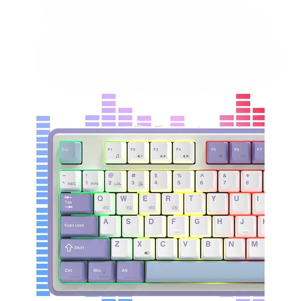 Keyboard Mechanical 87 Key Tri Mode RGB Hot Swappable