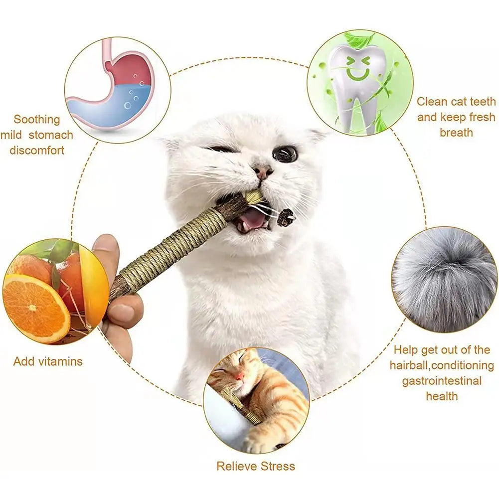 Organic Silver Vine Cat Dental Chew Rod - Bite-Resistant Matatabi Teeth Cleaning Toy