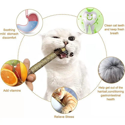 Organic Silver Vine Cat Dental Chew Rod - Bite-Resistant Matatabi Teeth Cleaning Toy