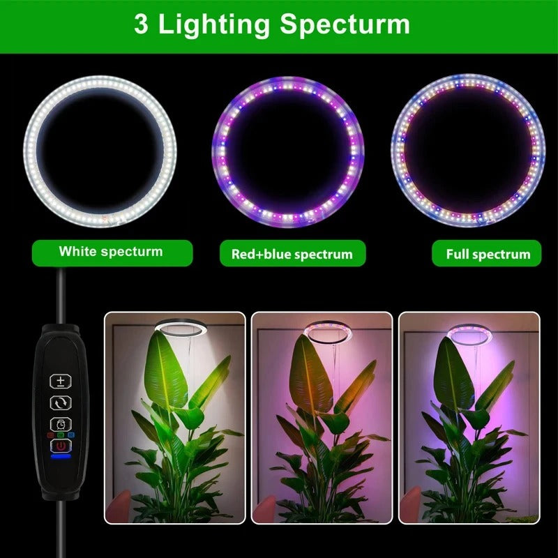 Light Grow For Indoor Plants Full Spectrum LED Plant Light, Year-Round Growth, Energy Efficient