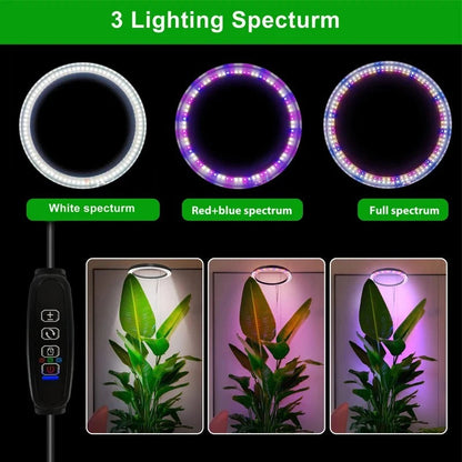 Light Grow For Indoor Plants Full Spectrum LED Plant Light, Year-Round Growth, Energy Efficient