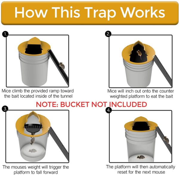 Trap Mouse Bucket Lid Non Toxic Sanitary Fall 2025 Safe