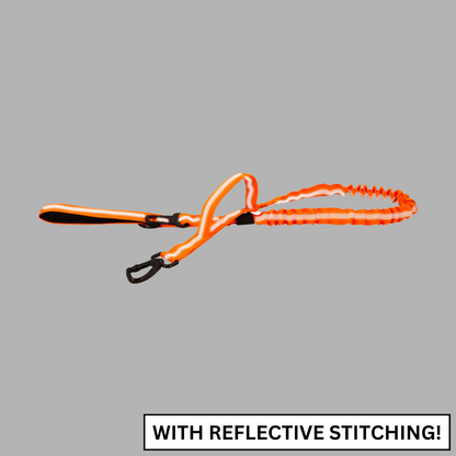 Leash Dog Tactical Fall 2025 Double-Handle Padded Bungee Center 69-Inch Extendable With Seatbelt Attachment