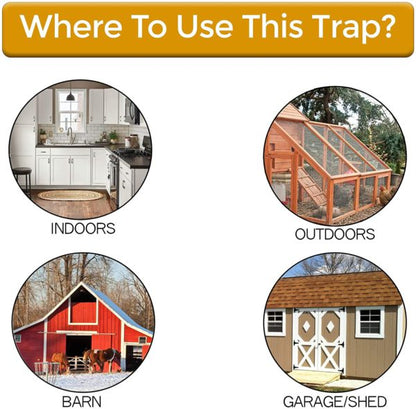 Trap Mouse Bucket Lid Non Toxic Sanitary Fall 2025 Safe