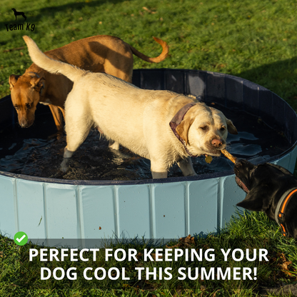 Pop-Up Dog Pool Foldable - Outdoor Bath And Pool For Pets, Summer 2025 Simple Setup, Side Drain, Sturdy Lining