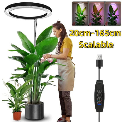 Light Grow For Indoor Plants Full Spectrum LED Plant Light, Year-Round Growth, Energy Efficient