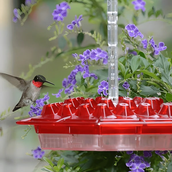 Feeder Hummingbird With Built In Ant Moat, Garden Bird Feeder For Patio, Summer 2025 Backyard Wildlife Gift