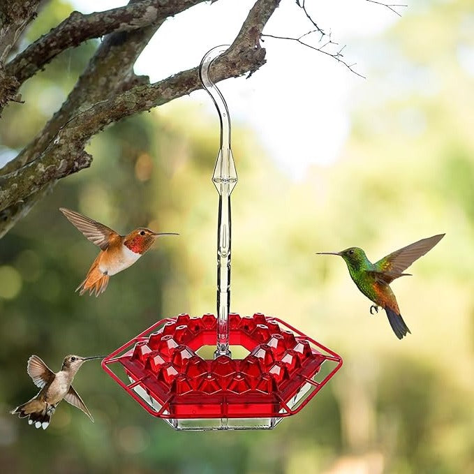 Hummingbird Feeder Ant Proof Outdoor Hanging Simple Perch