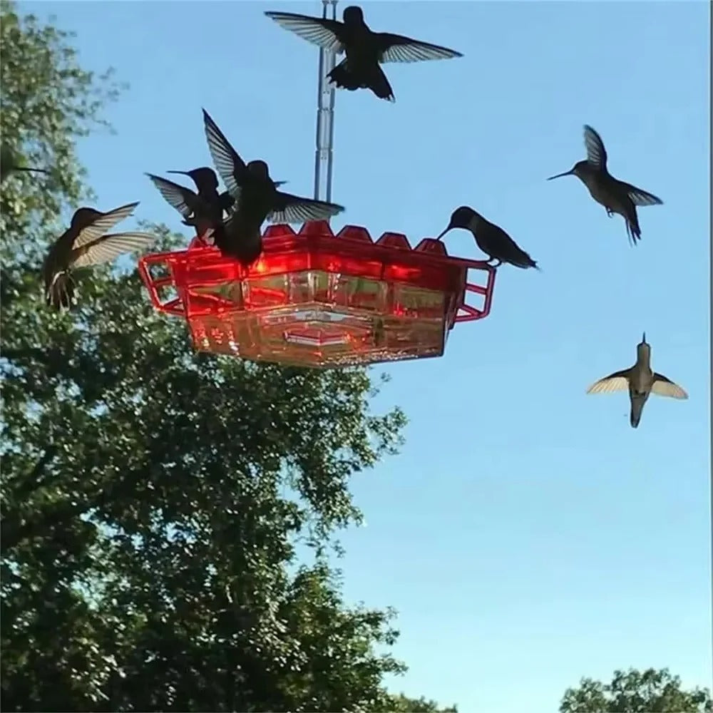 Hummingbird Feeder Ant Proof Outdoor Hanging Simple Perch