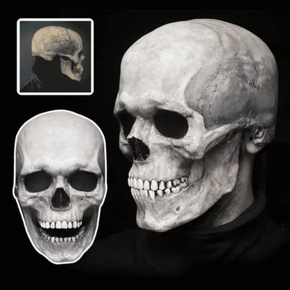 Full Realistic Head Skull Mask with Movable Jaw - Unisex Halloween & Cosplay Accessory for Ultimate Spooky Experience