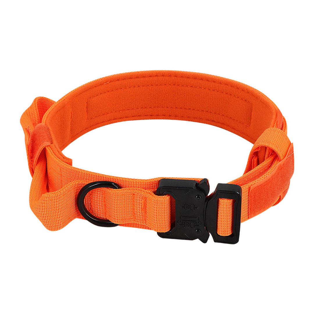 Dog2025 Edition Collar Tactical K9 With Patch Panel Top Handle Training And Control Fall